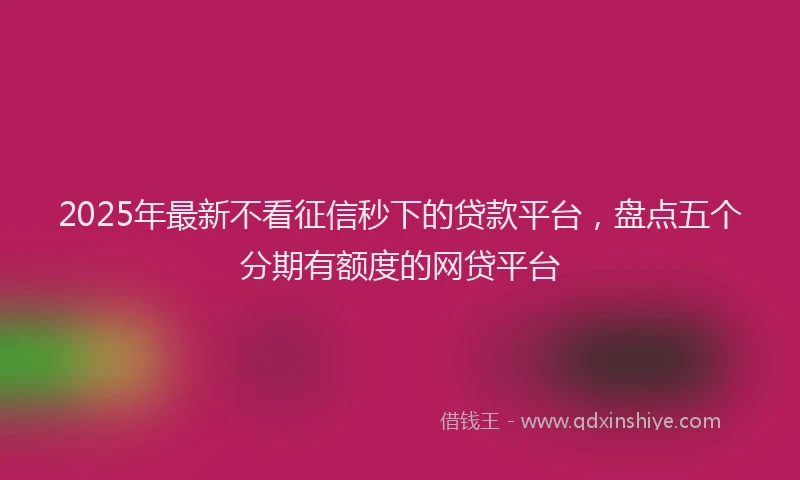 2025年最新不看征信秒下的贷款平台，盘点五个分期有额度的网贷平台