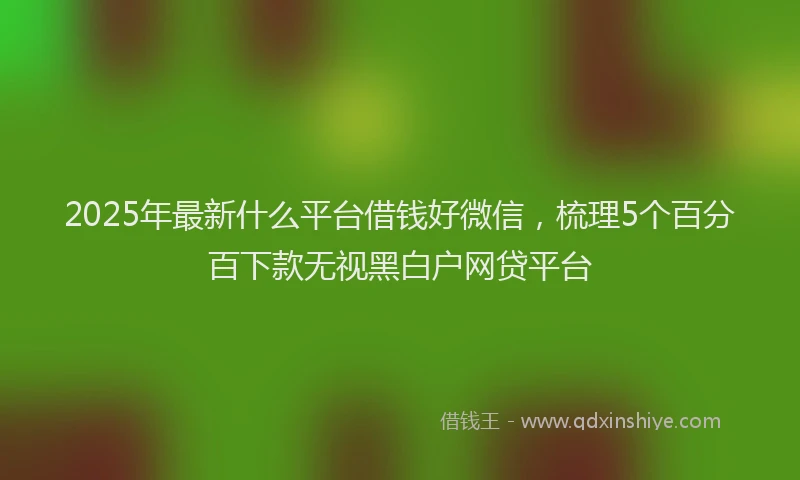 2025年最新什么平台借钱好微信，梳理5个百分百下款无视黑白户网贷平台