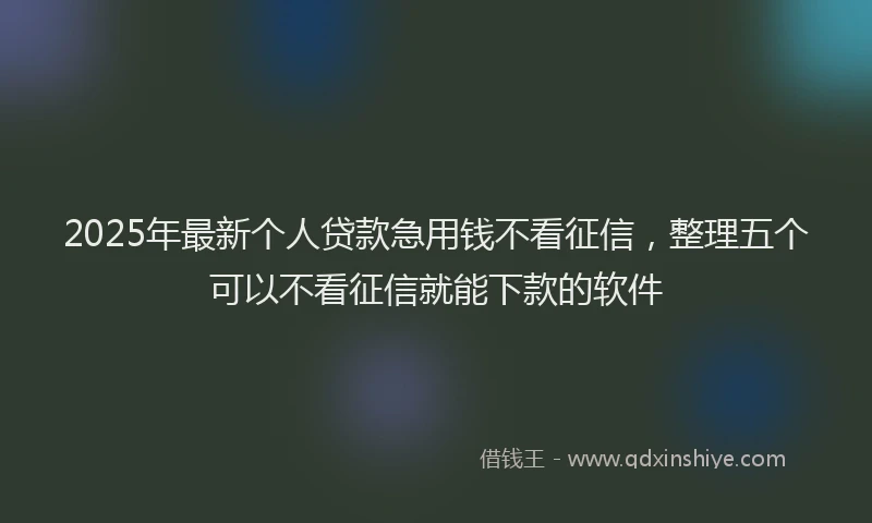 2025年最新个人贷款急用钱不看征信，整理五个可以不看征信就能下款的软件