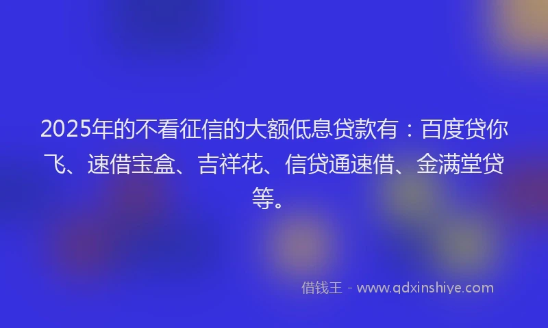 2025年的不看征信的大额低息贷款有：百度贷你飞、速借宝盒、吉祥花、信贷通速借、金满堂贷等。