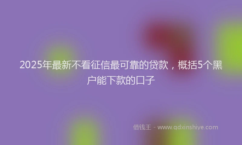 2025年最新不看征信最可靠的贷款，概括5个黑户能下款的口子