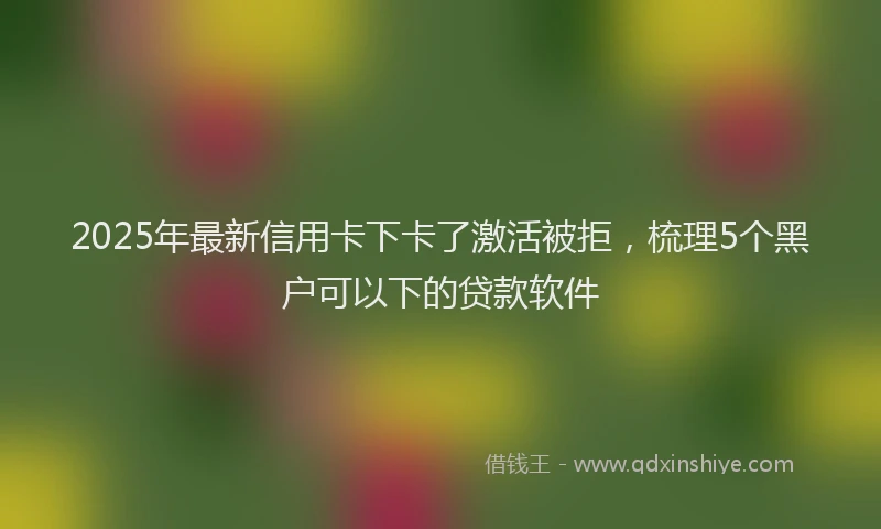 2025年最新信用卡下卡了激活被拒，梳理5个黑户可以下的贷款软件