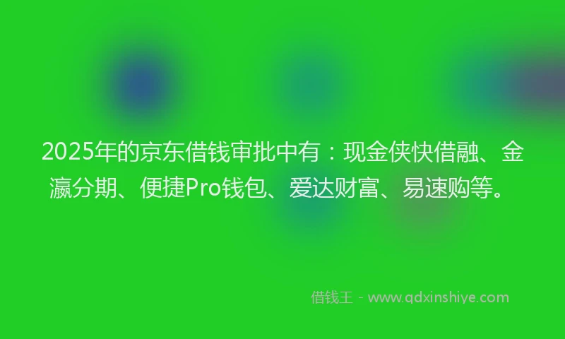 2025年的京东借钱审批中有：现金侠快借融、金瀛分期、便捷Pro钱包、爱达财富、易速购等。