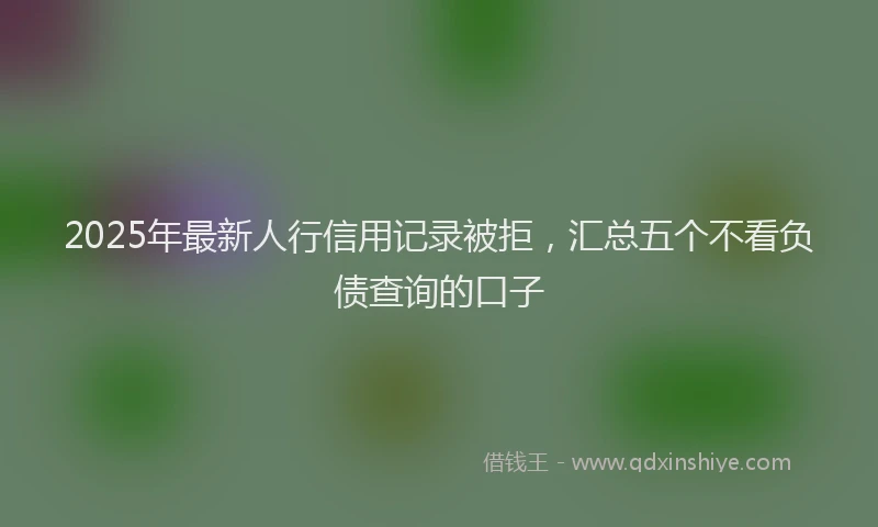 2025年最新人行信用记录被拒，汇总五个不看负债查询的口子