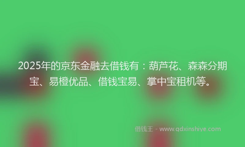 2025年的京东金融去借钱有：葫芦花、森森分期宝、易橙优品、借钱宝易、掌中宝租机等。