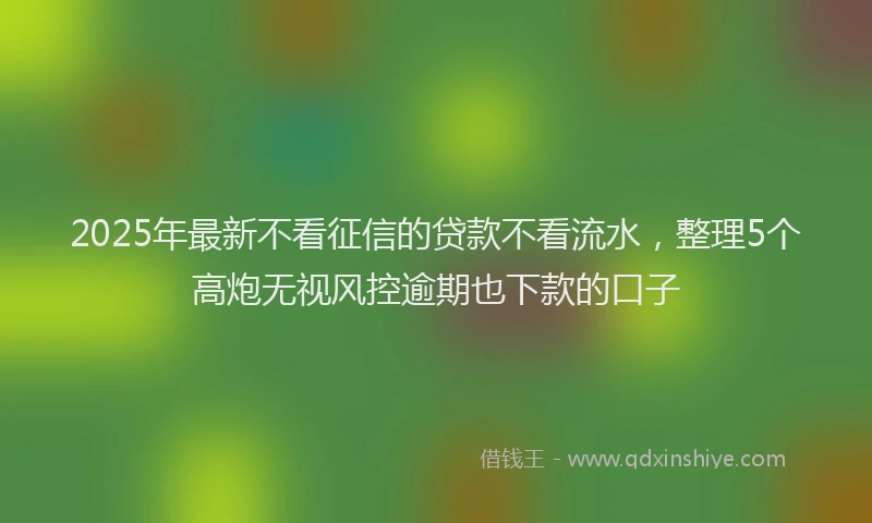 2025年最新不看征信的贷款不看流水，整理5个高炮无视风控逾期也下款的口子