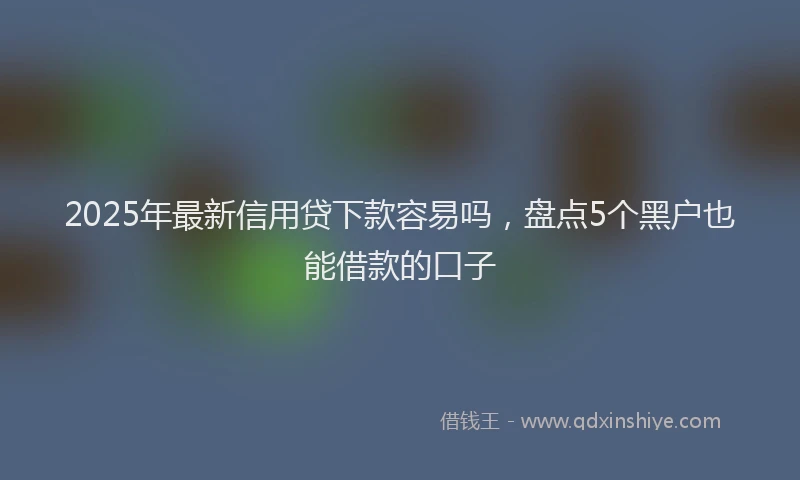2025年最新信用贷下款容易吗，盘点5个黑户也能借款的口子