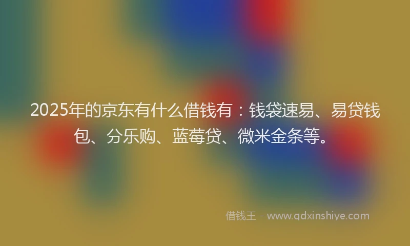 2025年的京东有什么借钱有：钱袋速易、易贷钱包、分乐购、蓝莓贷、微米金条等。