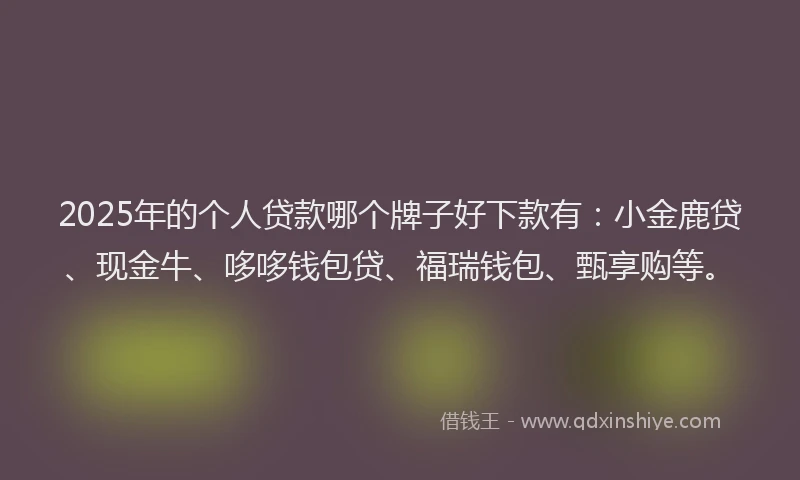 2025年的个人贷款哪个牌子好下款有：小金鹿贷、现金牛、哆哆钱包贷、福瑞钱包、甄享购等。
