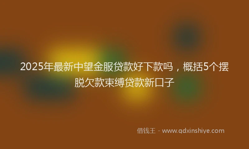 2025年最新中望金服贷款好下款吗，概括5个摆脱欠款束缚贷款新口子