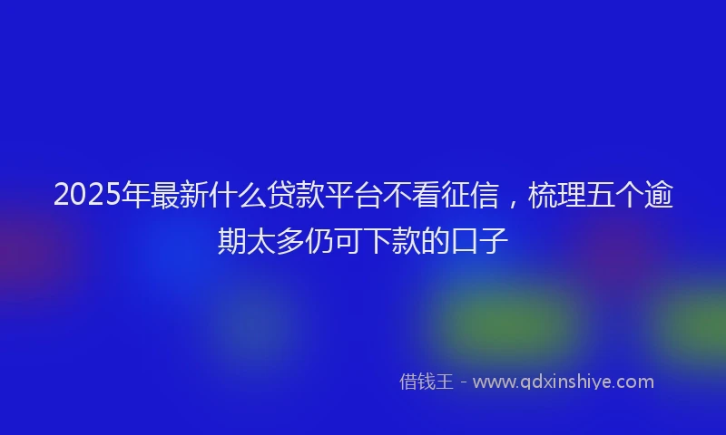 2025年最新什么贷款平台不看征信，梳理五个逾期太多仍可下款的口子