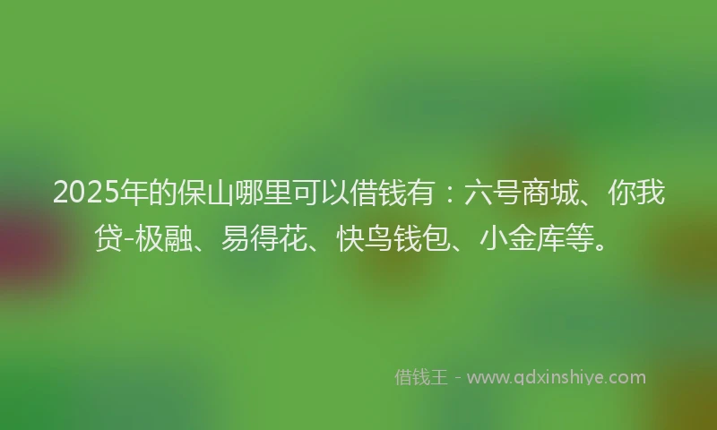 2025年的保山哪里可以借钱有：六号商城、你我贷-极融、易得花、快鸟钱包、小金库等。