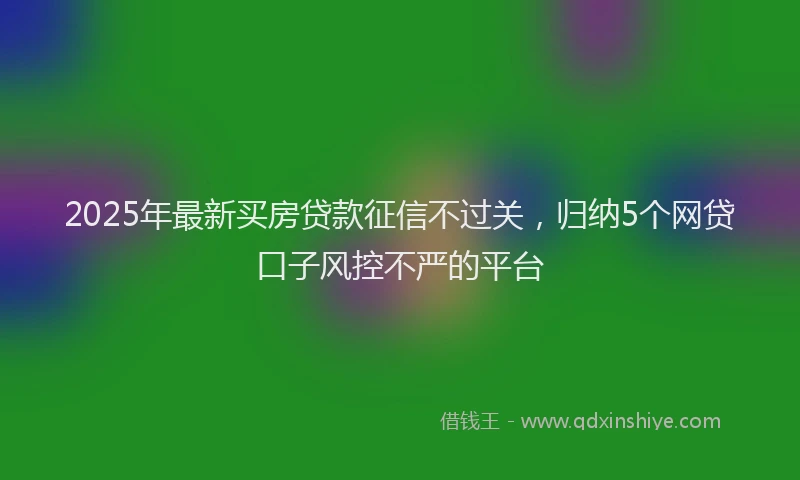 2025年最新买房贷款征信不过关，归纳5个网贷口子风控不严的平台