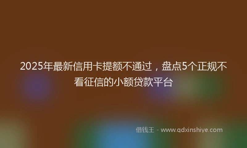 2025年最新信用卡提额不通过，盘点5个正规不看征信的小额贷款平台