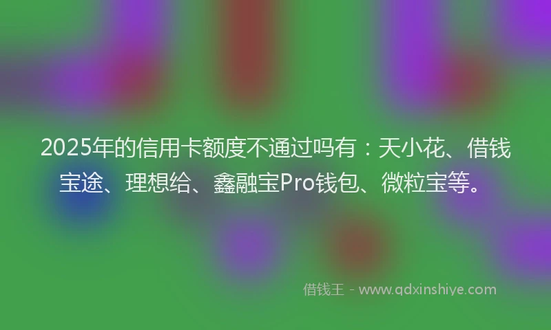 2025年的信用卡额度不通过吗有：天小花、借钱宝途、理想给、鑫融宝Pro钱包、微粒宝等。