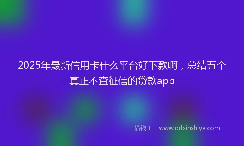 2025年最新信用卡什么平台好下款啊，总结五个真正不查征信的贷款app