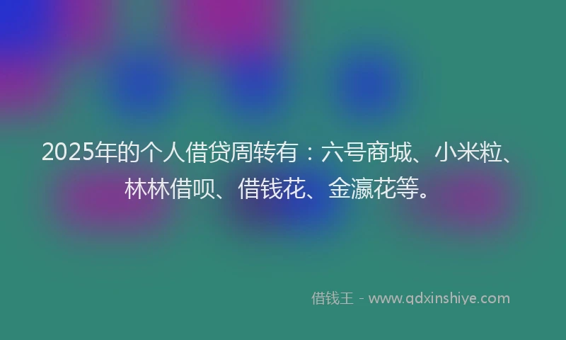 2025年的个人借贷周转有：六号商城、小米粒、林林借呗、借钱花、金瀛花等。