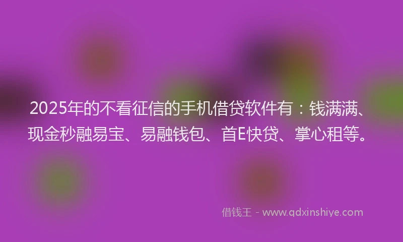 2025年的不看征信的手机借贷软件有：钱满满、现金秒融易宝、易融钱包、首E快贷、掌心租等。