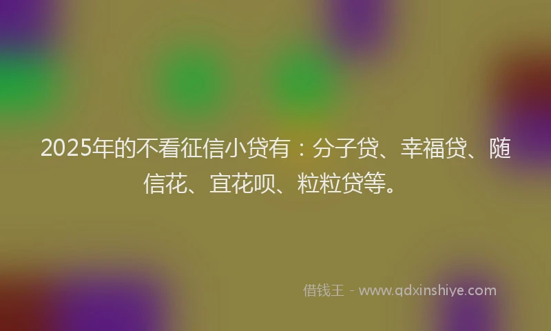 2025年的不看征信小贷有：分子贷、幸福贷、随信花、宜花呗、粒粒贷等。