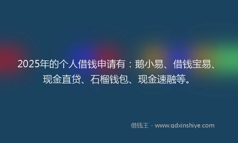 2025年的个人借钱申请有：鹅小易、借钱宝易、现金直贷、石榴钱包、现金速融等。