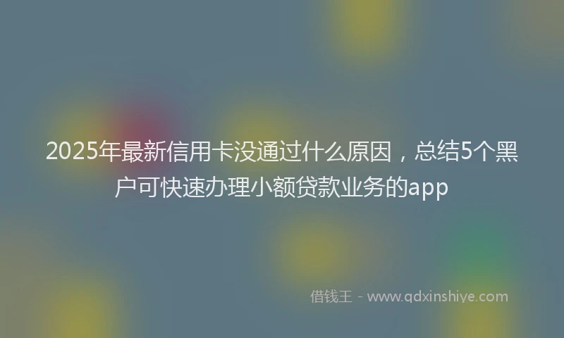 2025年最新信用卡没通过什么原因，总结5个黑户可快速办理小额贷款业务的app