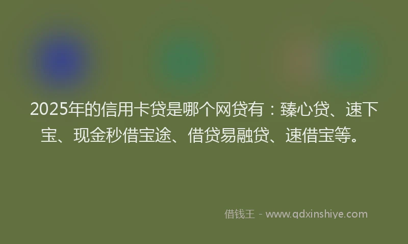 2025年的信用卡贷是哪个网贷有：臻心贷、速下宝、现金秒借宝途、借贷易融贷、速借宝等。