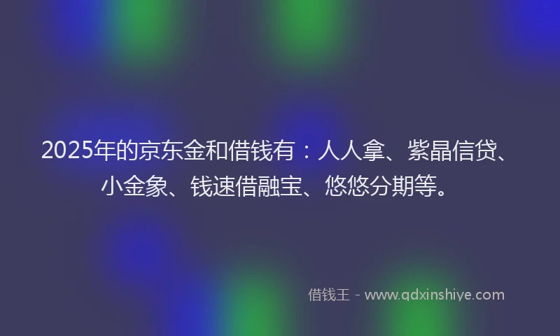 2025年的京东金和借钱有：人人拿、紫晶信贷、小金象、钱速借融宝、悠悠分期等。