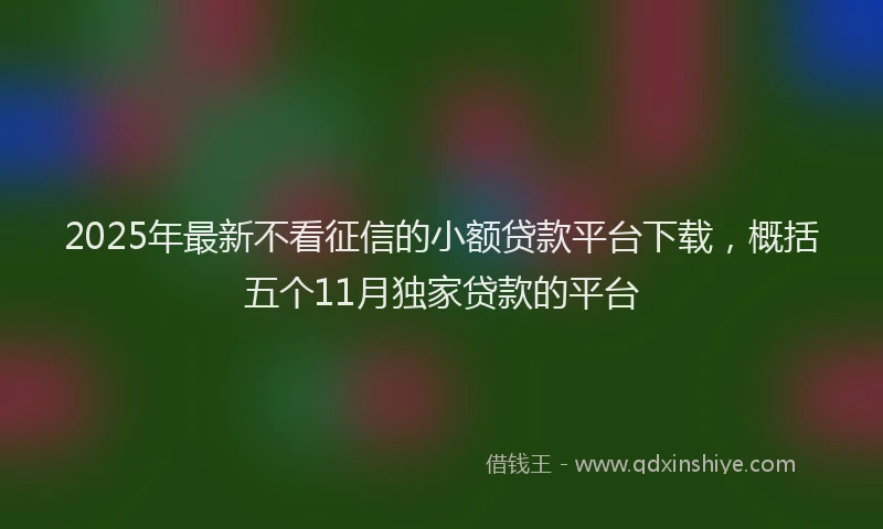 2025年最新不看征信的小额贷款平台下载，概括五个11月独家贷款的平台