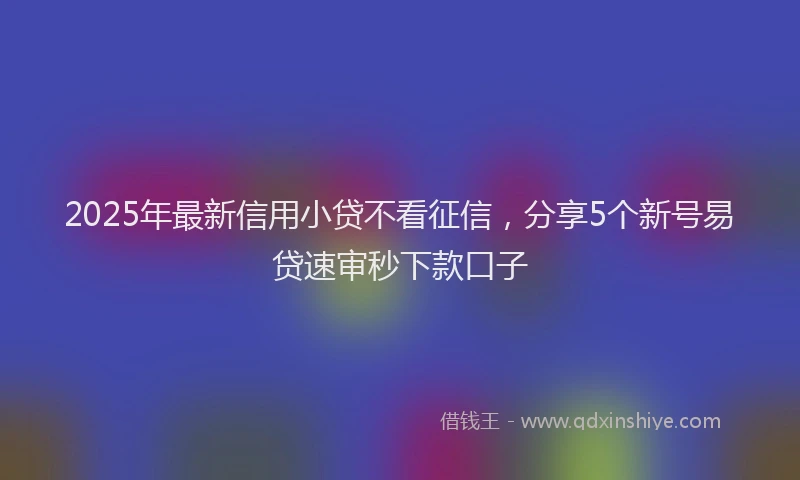 2025年最新信用小贷不看征信，分享5个新号易贷速审秒下款口子