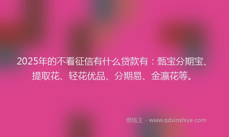 2025年的不看征信有什么贷款有：甄宝分期宝、提取花、轻花优品、分期易、金瀛花等。