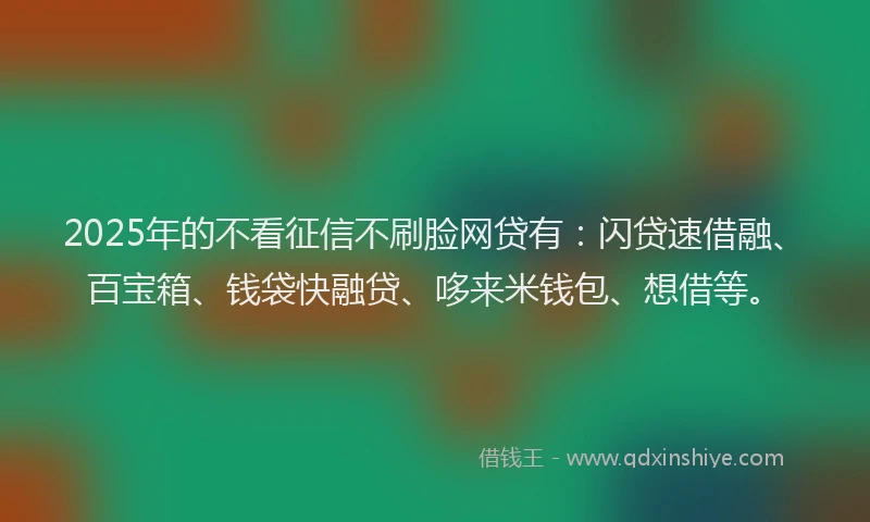 2025年的不看征信不刷脸网贷有：闪贷速借融、百宝箱、钱袋快融贷、哆来米钱包、想借等。