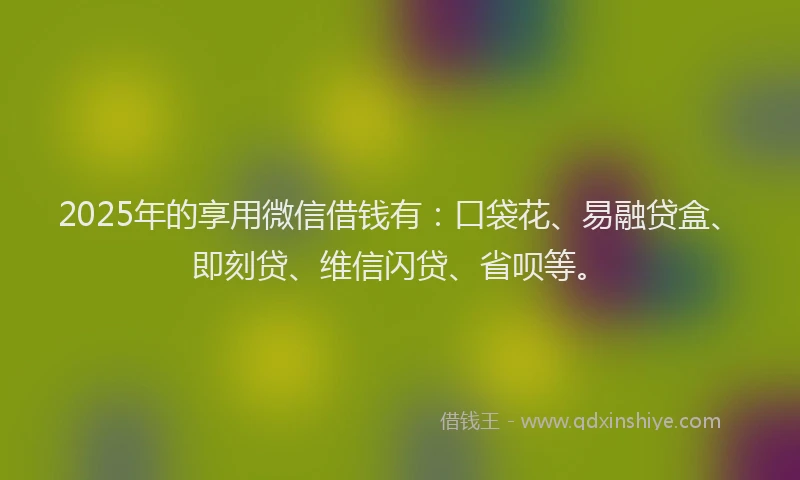 2025年的享用微信借钱有：口袋花、易融贷盒、即刻贷、维信闪贷、省呗等。