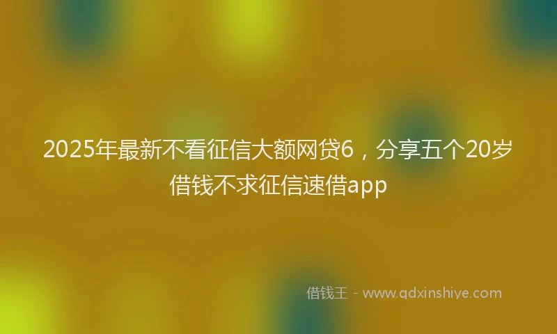 2025年最新不看征信大额网贷6，分享五个20岁借钱不求征信速借app