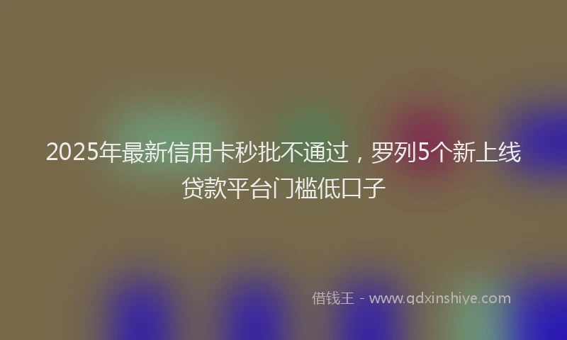 2025年最新信用卡秒批不通过，罗列5个新上线贷款平台门槛低口子