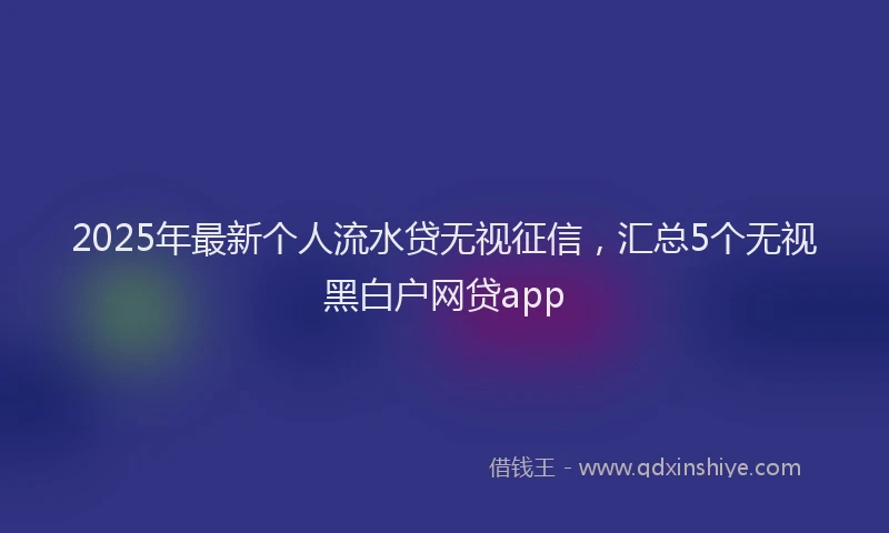 2025年最新个人流水贷无视征信，汇总5个无视黑白户网贷app