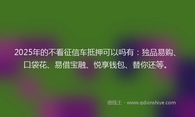 2025年的不看征信车抵押可以吗有：独品易购、口袋花、易借宝融、悦享钱包、替你还等。
