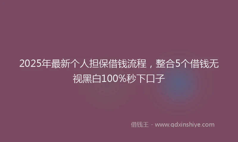 2025年最新个人担保借钱流程，整合5个借钱无视黑白100%秒下口子