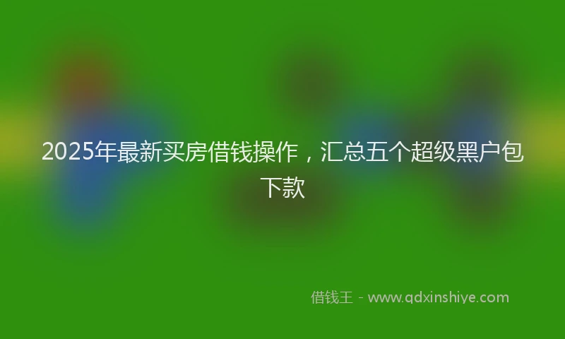 2025年最新买房借钱操作，汇总五个超级黑户包下款