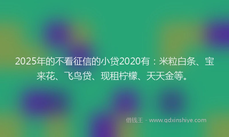 2025年的不看征信的小贷2020有：米粒白条、宝来花、飞鸟贷、现租柠檬、天天金等。
