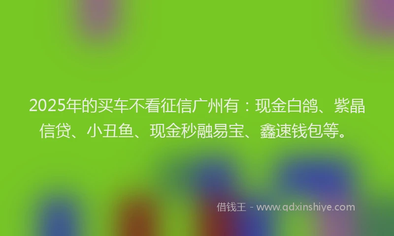 2025年的买车不看征信广州有：现金白鸽、紫晶信贷、小丑鱼、现金秒融易宝、鑫速钱包等。