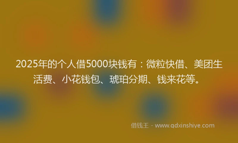 2025年的个人借5000块钱有：微粒快借、美团生活费、小花钱包、琥珀分期、钱来花等。