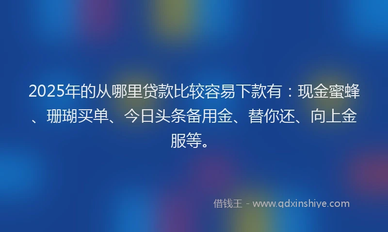 2025年的从哪里贷款比较容易下款有：现金蜜蜂、珊瑚买单、今日头条备用金、替你还、向上金服等。