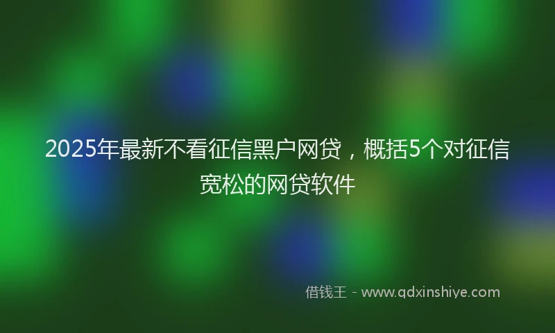 2025年最新不看征信黑户网贷，概括5个对征信宽松的网贷软件