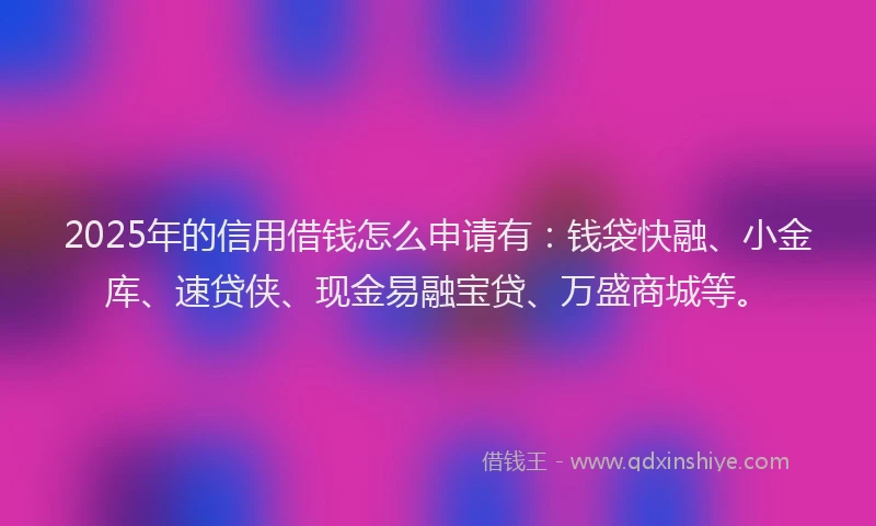 2025年的信用借钱怎么申请有：钱袋快融、小金库、速贷侠、现金易融宝贷、万盛商城等。