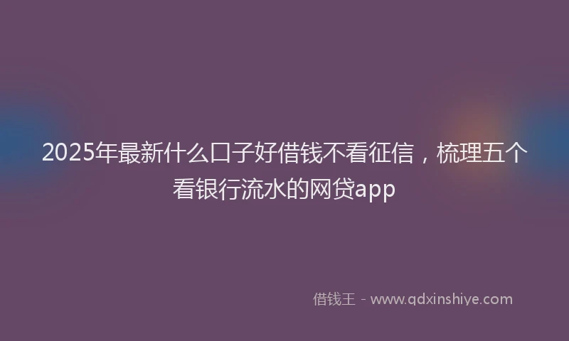 2025年最新什么口子好借钱不看征信，梳理五个看银行流水的网贷app