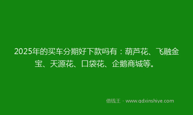 2025年的买车分期好下款吗有：葫芦花、飞融金宝、天源花、口袋花、企鹅商城等。