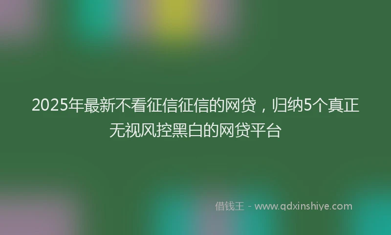 2025年最新不看征信征信的网贷，归纳5个真正无视风控黑白的网贷平台