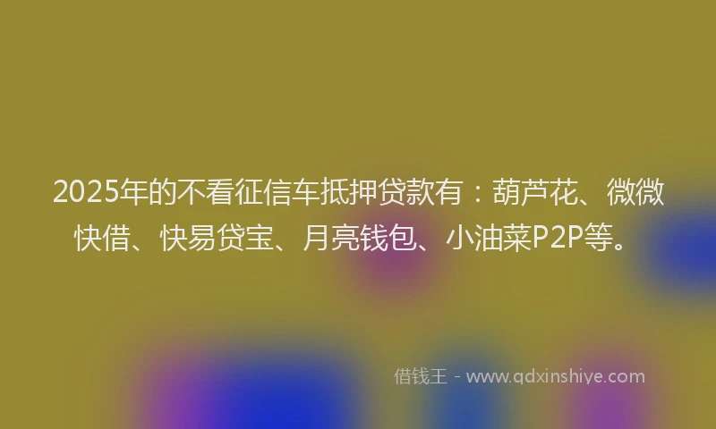 2025年的不看征信车抵押贷款有：葫芦花、微微快借、快易贷宝、月亮钱包、小油菜P2P等。