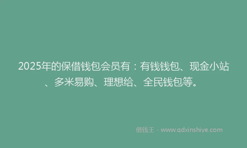 2025年的保借钱包会员有：有钱钱包、现金小站、多米易购、理想给、全民钱包等。