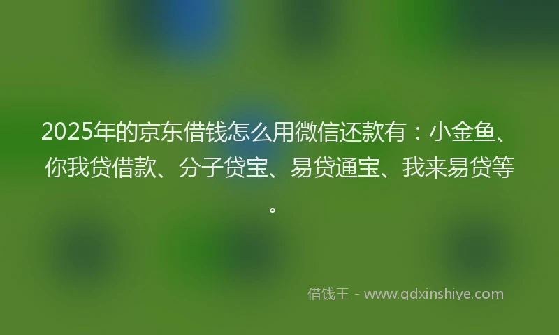 2025年的京东借钱怎么用微信还款有：小金鱼、你我贷借款、分子贷宝、易贷通宝、我来易贷等。